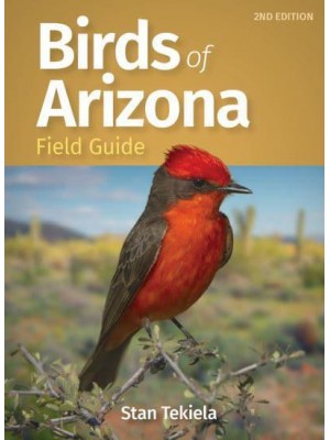 Birds of Arizona Field Guide - Bird Identification Guides