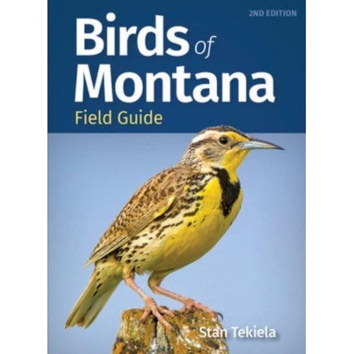 Birds of Montana Field Guide - Bird Identification Guides
