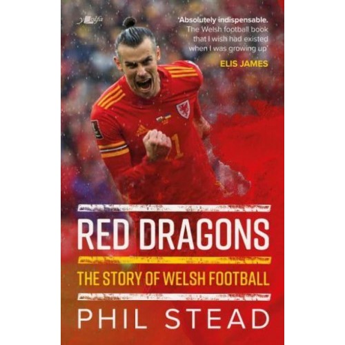 Red Dragons The Story of Welsh Football