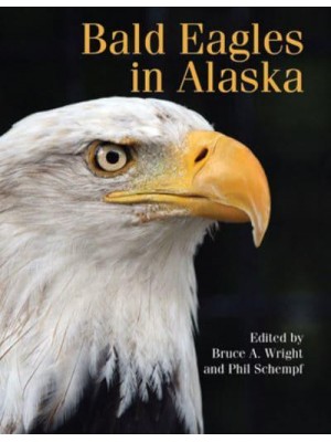 Bald Eagles in Alaska
