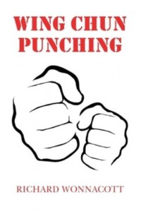 Wing Chun Punching