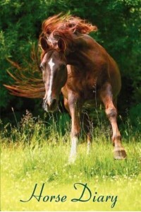 Horse Diary