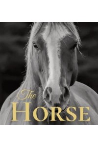 The Horse: Coffee Table Book With Quotations About The Magnificent Equines.