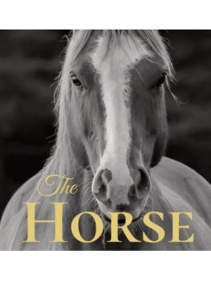 The Horse: Coffee Table Book With Quotations About The Magnificent Equines.