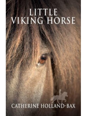 Little Viking Horse