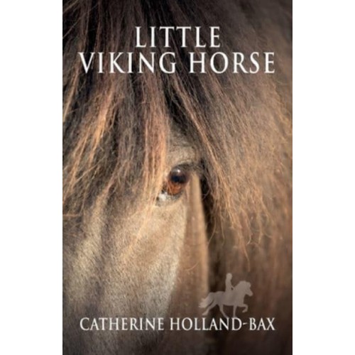 Little Viking Horse