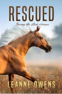 RESCUED: Saving the Lost Horses - The Dimity Horse Mysteries
