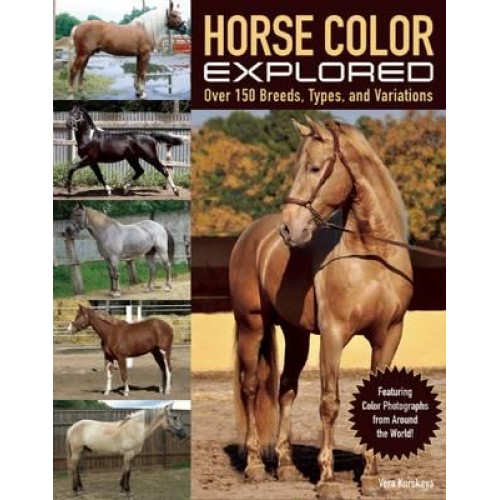 Horse Color Explored Over 150 Breeds, Types, and Variations