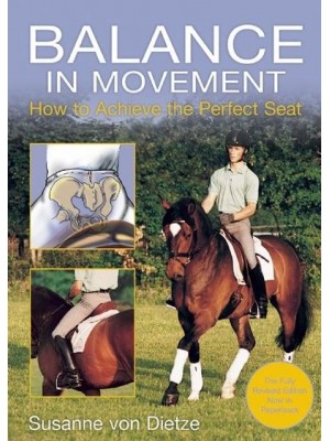 Balance in Movement How to Achieve the Perfect Seat