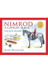 Nimrod A Cavalry Black : From Foal to Retirement