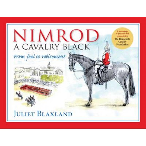 Nimrod A Cavalry Black : From Foal to Retirement