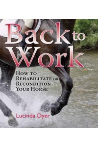 Back to Work How to Rehabilitate or Recondition Your Horse
