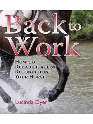 Back to Work How to Rehabilitate or Recondition Your Horse