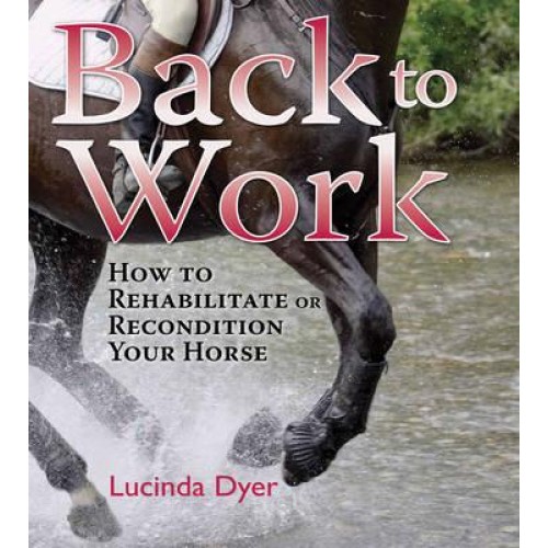 Back to Work How to Rehabilitate or Recondition Your Horse