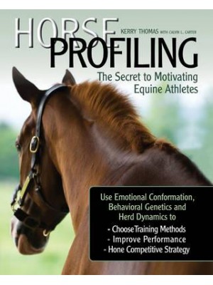 Horse Profiling The Secret to Motivating Equine Athletes