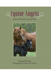 Equine Angels Stories of Rescue, Love, and Hope