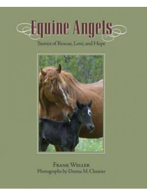 Equine Angels Stories of Rescue, Love, and Hope