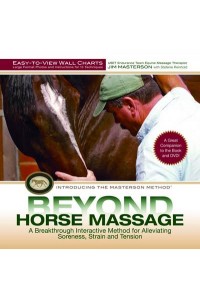 Beyond Horse Massage Wall Chart