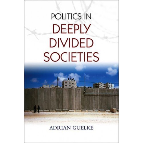 Politics in Deeply Divided Societies