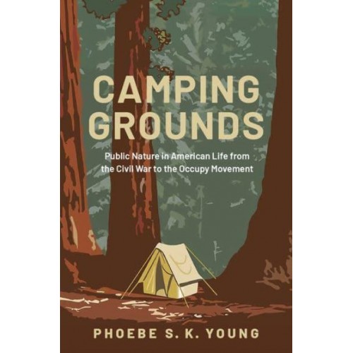 Camping Grounds Public Nature in American Life from the Civil War to the Occupy Movement