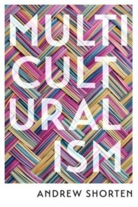 Multiculturalism The Political Theory of Diversity Today