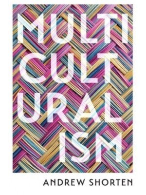Multiculturalism The Political Theory of Diversity Today