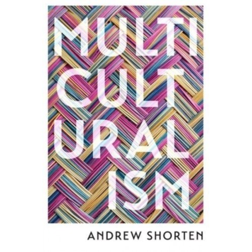 Multiculturalism The Political Theory of Diversity Today
