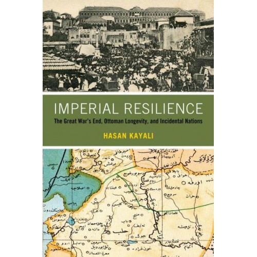 Imperial Resilience The Great War's End, Ottoman Longevity, and Incidental Nations
