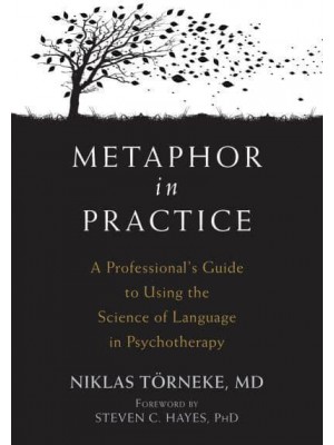 Metaphor in Practice A Professional's Guide to Using the Science of Language in Psychotherapy