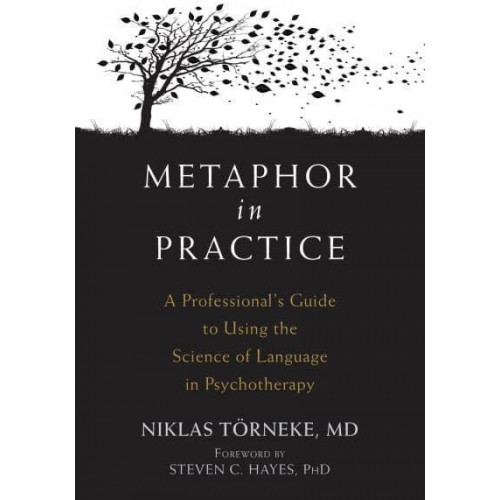 Metaphor in Practice A Professional's Guide to Using the Science of Language in Psychotherapy