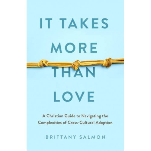 It Takes More Than Love A Christian Guide to Navigating the Complexities of Cross-Cultural Adoption
