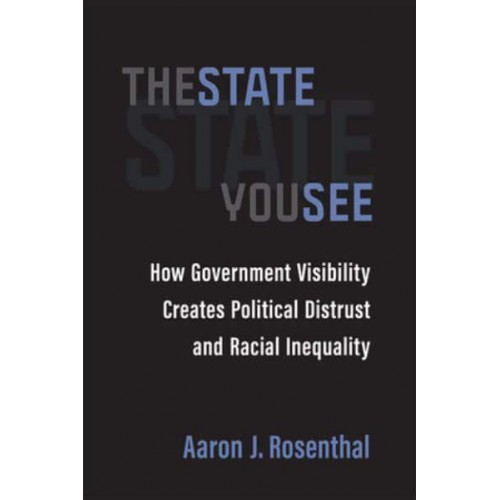 The State You See How Government Visibility Creates Political Distrust and Racial Inequality