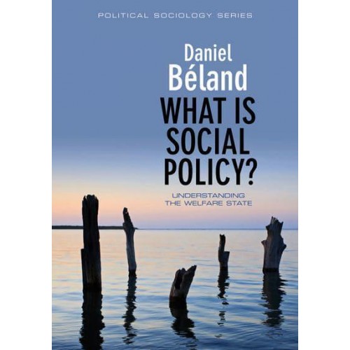 What Is Social Policy? Understanding the Welfare State - Political Sociology Series