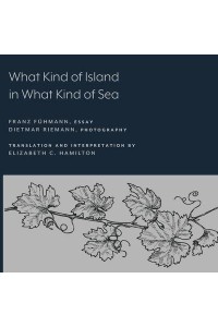 What Kind of Island in What Kind of Sea?