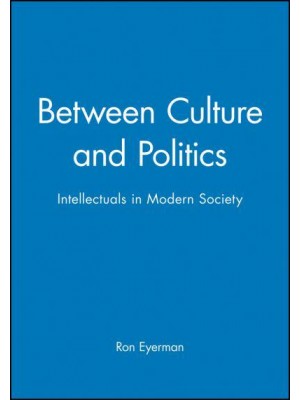 Between Culture and Politics Intellectuals in Modern Society