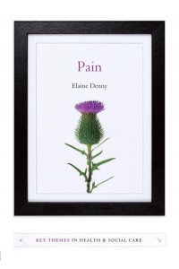 Pain A Sociological Introduction - Key Themes in Health and Social Care Series