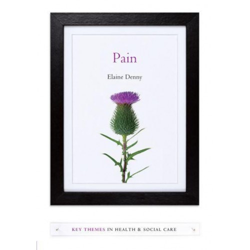 Pain A Sociological Introduction - Key Themes in Health and Social Care Series