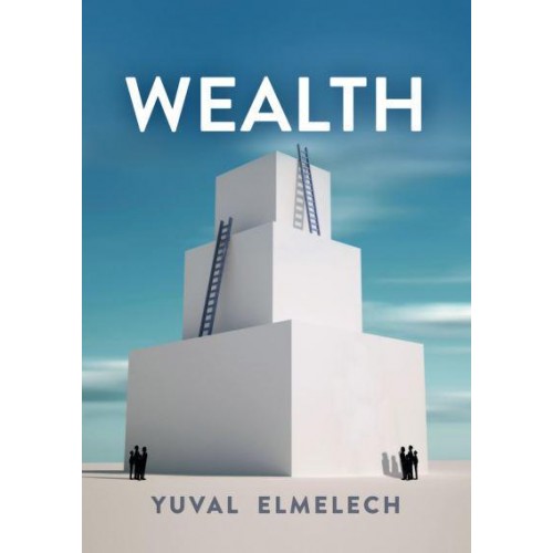 Wealth - Economy and Society