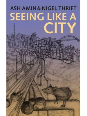 Seeing Like a City