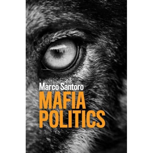 Mafia Politics