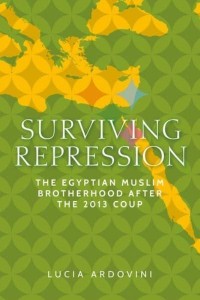 Surviving Repression The Egyptian Muslim Brotherhood After the 2013 Coup - Identities and Geopolitics in the Middle East