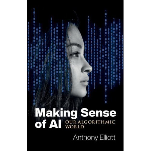 Making Sense of AI Our Algorithmic World