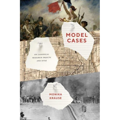 Model Cases On Canonical Research Objects and Sites