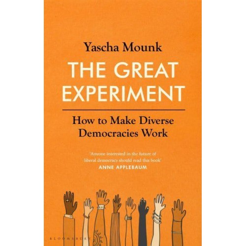 The Great Experiment How to Make Diverse Democracies Work