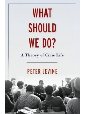 What Should We Do? A Theory of Civic Life