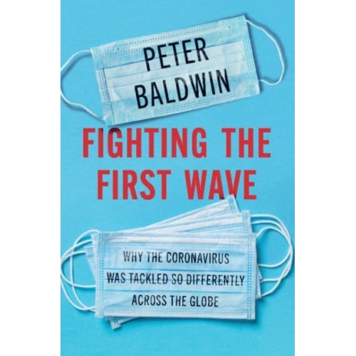 Fighting the First Wave Why the Coronavirus Was Tackled So Differently Across the Globe