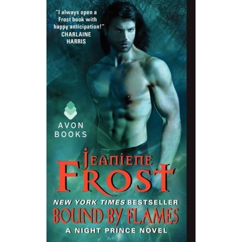 Bound by Flames A Night Prince Novel - A Night Prince Novel