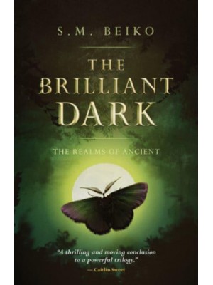 The Brilliant Dark The Realms of Ancient, Book 3 - Realms of Ancient
