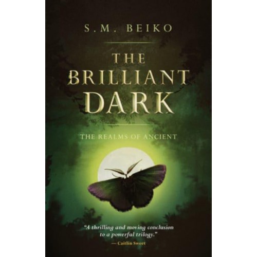 The Brilliant Dark The Realms of Ancient, Book 3 - Realms of Ancient