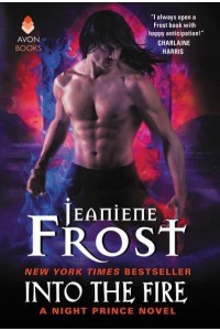 Into the Fire - A Night Prince Novel